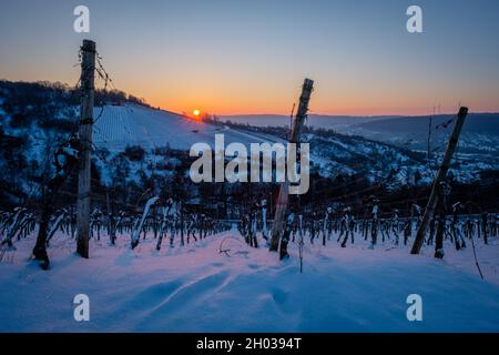 Ipnotizzante vista del Sunrise nel freddo paesaggio invernale dei vigneti della neve in Germania Foto Stock