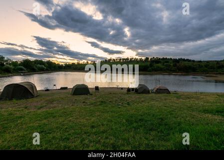 Avventure di pesca, pesca carpe. Il pescatore, al tramonto, è la pesca con la tecnica del carpfishing. Campeggio sulla riva del lago. Carp pesca Tramonto. Foto Stock