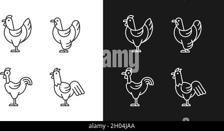 Le razze di pollo sono icone lineari impostate per la modalità buio e luce Illustrazione Vettoriale