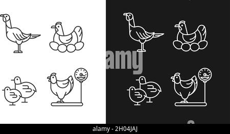 Icone lineari per le galline domestiche impostate per la modalità buio e luce Illustrazione Vettoriale