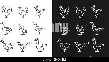 Icone lineari per uccelli addomesticati impostate per la modalità buio e luce Illustrazione Vettoriale