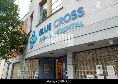 Londra - Ottobre 2021: Blue Cross Animal Hospital vicino a Victoria Station, un'associazione di beneficenza britannica per il benessere degli animali Foto Stock