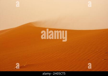 Sahara deserto paesaggio fotografato a Erg Chebbi, Marocco, Africa Foto Stock