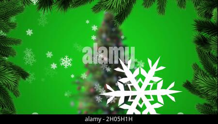 Immagine di neve caduta e abete su albero di natale su sfondo verde Foto Stock