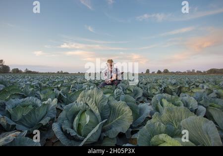 Soddisfatto Senior Farmer scrittura note sul raccolto di cavolo in campo in autunno Foto Stock