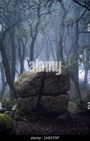 Tumulo di roccia con profonde crepe a forma di croce in fitta foresta di quercia sempreverde in con terreno coperto in foglie autunnali e luce del mattino strisciante tra il Foto Stock