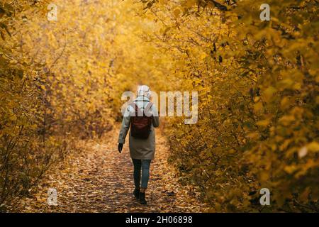 Una giovane ragazza, un adolescente, cammina da sola in un parco autunnale. Bella vegetazione fitta gialla, vista posteriore, uno zaino dietro le spalle. Foto Stock