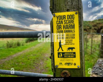 Un cartello giallo fissato ad un cancello di legno all'ingresso di un campo avverte che i cani possono spaventare o danneggiare gli animali da fattoria e che un piombo dovrebbe essere usato aro Foto Stock
