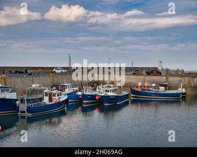 Diverse barche da pesca ormeggiate nel porto di Seahouses sulla costa del Northumberland nel nord-est dell'Inghilterra, Regno Unito Foto Stock
