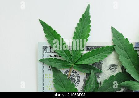 La marijuana lascia il dollaro su sfondo bianco. Problemi di legalizzazione della cannabis. Soldi e canapa. Primo piano pianta erbaccia fresca, vista dall'alto, posa piatta. Foto Stock