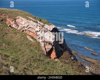 Strati di roccia esposti sulla costa del Northumberland vicino a Scremerston, a sud di Berwick-upon-Tweed - parte della formazione di Alston Foto Stock