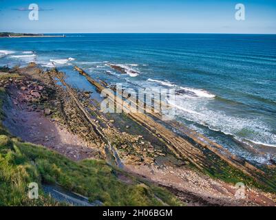 Le soglie rocciose erose sulla costa del Northumberland vicino a Scremerston, a sud di Berwick-upon-Tweed - parte della formazione di Alston Foto Stock