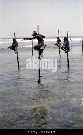 SRI LANKA: I pescatori di Tangalle sospesi sul mare nel modo in cui fanno la loro tecnica tradizionale per catturare il pesce su pali Foto Stock