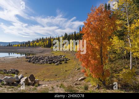 American Fork Canyon, Utah - Ottobre 2021 Foto Stock