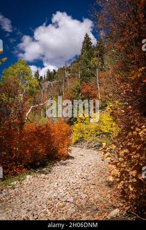 Photo Bomb American Fork Canyon, Utah - Ottobre 2021 Foto Stock