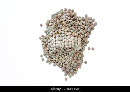 Grani di lenticchie verdi, vista dall'alto di grani di lenticchie verdi grezze isolate su sfondo bianco. Foto Stock