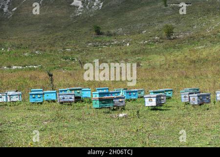 Apicoltura. Orticaria di api nell'apiario. Alveari in legno dipinti con api attive al miele. Cortile di api nella periferia delle montagne del Caucaso, Cecenia. RUS Foto Stock