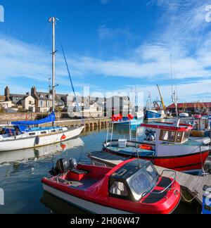 Porto e porto turistico di Arbroath, Scozia, Regno Unito Foto Stock