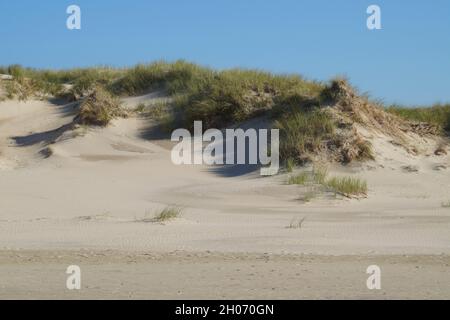 Dune di sabbia bianca panoramiche dell'isola di Baltrum nel Mare del Nord in Germania Foto Stock