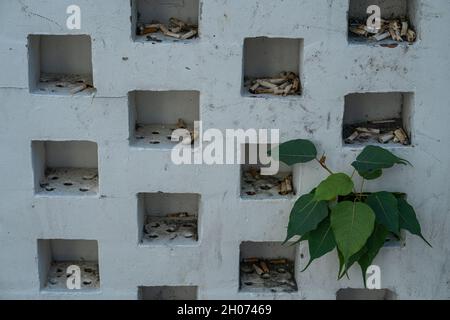 Mozziconi di sigaretta stubbed fuori in un muro. Foto Stock