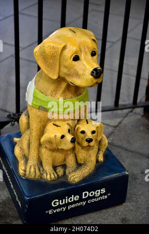Guida cani per la carità cieca labrador e la sua scatola di donazione cuccioli Foto Stock