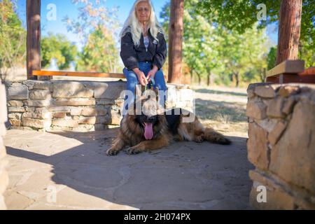 Una donna prende un cane pastore tedesco per una passeggiata nella natura Foto Stock