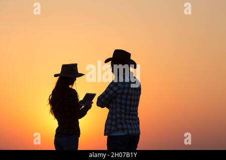 Silhouette di due contadini uomo e donna in piedi sul campo e guardando il tablet Foto Stock