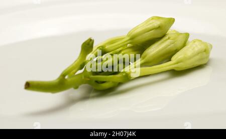 Cibo biologico fiore di Loroco. Guatemala. Fernaldia pandurata. Foto Stock