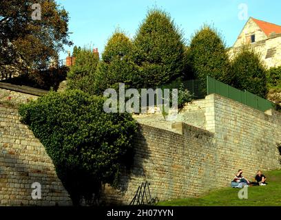 Un boschetto di carpini fasciati al Palazzo Vescovile medievale di Lincoln Foto Stock