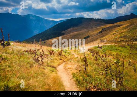 Luminoso e panoramico all'ingresso del parco nazionale dei Balcani centrali nell'altopiano di Stara Planina in Bulgaria Foto Stock