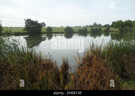 Fawsley Church St Marys vetrate da Sulgrave Manor e Washington famiglia anche Knightley famiglia lago in terreni canne canne cespugli animali Foto Stock