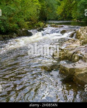 L'acqua bianca si innaffia sulla cascata e si dirige verso il ponte pont-y-Pair sull'Afon Llugwy, Betws-y-coed, Snowdonia National Park, Galles Foto Stock