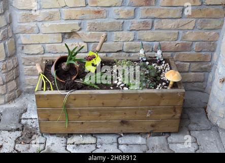 Vaso in legno di fiori con piante e attrezzi da giardinaggio di fronte al muro di mattoni Foto Stock