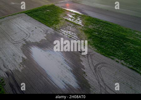 Immagine aerea di terra allagata con raccolti dopo pioggia pesante, sparare da drone Foto Stock