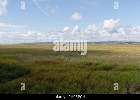 L'estuario del Loughor e la penisola di North Gower da Penclawydd, Galles, Regno Unito, biodiversità del paesaggio costiero gallese di paludi salate Foto Stock