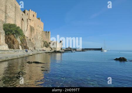 Il Castello reale di Collioure si trova nei Pirenei orientali, nella regione occitania.France Foto Stock