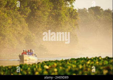 Turisti in barca safari in cerca di giaguari sul fiume Cuiabá, Pantanal, Mato Grosso, Brasile Foto Stock