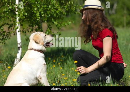 Donna curly seduta e riposo con Labrador cane su bel prato verde con fiori gialli camomilla al giorno di sole Foto Stock