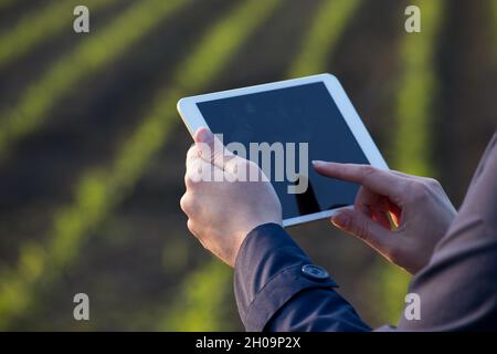 Primo piano delle mani dell'agricoltore che tiene e lavora sulla tavoletta in campo di mais in primavera Foto Stock