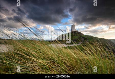 Dusk al faro piccolo su Llandwyn Island, Anglesey Galles Regno Unito Foto Stock