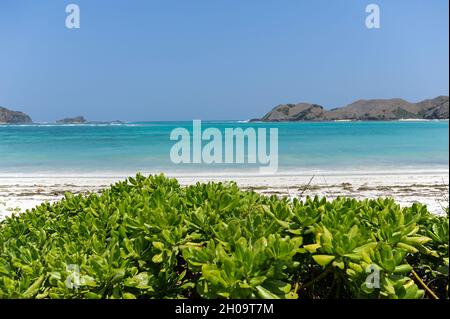 '10.09.2011, Indonesia, Lombok, Kuta - deserta spiaggia di sabbia bianca e acque turchesi alla solitaria Tanjung Aan Beach vicino alla piccola città di Kuta in t Foto Stock