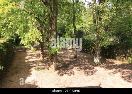 Impressionen aus der Stadt Wehr im Schwarzwald Foto Stock