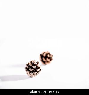 Concetto di Natale minimalista: Coni di pino su sfondo bianco. Spazio copia. Foto Stock
