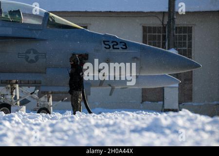 210104-N-EJ241-1026 MISAWA, Giappone (Gen. 4, 2021) – Aviation Structural Mechanic Airman Apprentice Micah Holland, assegnato ai 'Black Ravens' di Electronic Attack Squadron (VAQ) 135, rifornisce un EA-18G Growler presso Naval Air Facility (NAF) Misawa. VAQ-135 è uno squadrone di spedizione schierato a NAF Misawa che sostiene la sicurezza e la stabilità nell'area operativa della 7a flotta degli Stati Uniti. Foto Stock