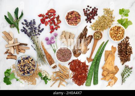 Raccolta di erbe, fiori, spezie utilizzata in medicina alternativa di piante vegetali in ciotole e sciolto. Concetto di assistenza sanitaria naturale per la guarigione. Foto Stock