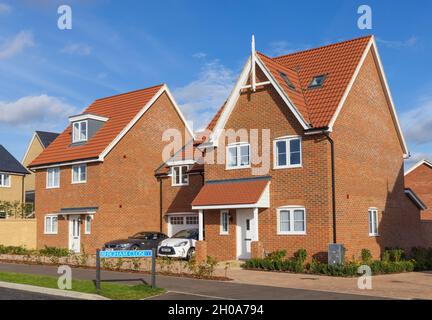 Case di nuova costruzione nello sviluppo di St Michael Hurst, Bishop's Stortford, Hertfordshire. REGNO UNITO Foto Stock