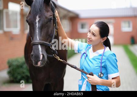 Donna medico veterinario che tiene cavallo di purosangue da briglia in stalla e testa stroking Foto Stock