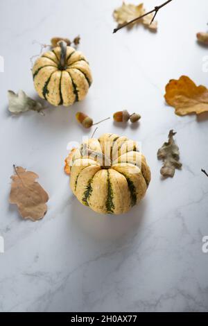 Due piccole zucche a strisce concetto di raccolta autunnale Foto Stock