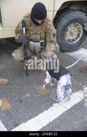 SGT. Aaron Christopher Struble del 2° Battaglione, 112th Fanttry Regiment, 56th Stryker Brigade Combat Team trova qualche sollievo connettendosi con un Washington, D.C., cani residenti mentre sono andati per una passeggiata per la città il 17 gennaio 2021. I soldati della Guardia Nazionale e gli Airmen di diversi stati si sono recati a Washington per fornire supporto alle autorità federali e distrettuali che hanno portato alla 59a Inaugurazione Presidenziale. Foto Stock