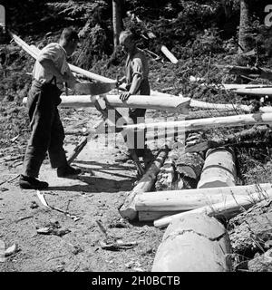 Holzfäller bei ihrer Arbeit un Baumstämmen im Schwarzwald, Deutschland 1930er Jahre. Boscaioli facendo il loro lavoro in tronchi di legno a Foresta Nera, Germania 1930s. Foto Stock